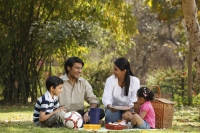 Family picnic - Deepak Budhraja