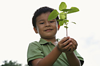 boy holding plant and soil - Yukmin