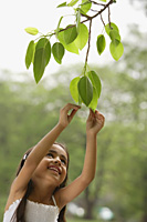 little girl reaching for tree leaf - Alex Mares-Manton