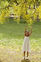 little girl reaching up to tree - Alex Mares-Manton