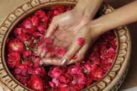 Woman cupping rose petals and rose water - Vivek Sharma