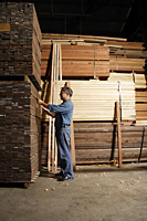 Mature man working in lumber yard. - Nugene Chiang