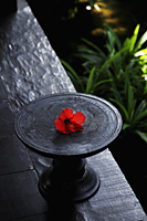 wooden dish with red hibiscus - Alex Mares-Manton