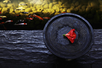 wooden bowl with red flower near fish pond - Alex Mares-Manton