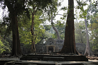 Ruins of Angkor Wat surrounded by trees - Alex Mares-Manton
