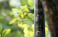 Carved Chinese characters into bamboo. "Good fortune" - Alex Mares-Manton