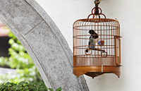 Wicker bird cage hanging on wall - Alex Mares-Manton