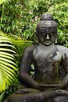 stone buddha surrounded by trees - Alex Mares-Manton