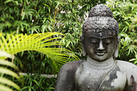 cropped shot of stone buddha with trees in background - Alex Mares-Manton