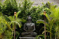 stone buddha statue surrounded by palm trees - Alex Mares-Manton