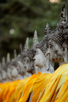 Buddhas in a row at Wat Yai Chaya Mongkol, Thailand - Alex Mares-Manton