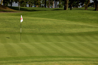 Golf course green with 8th hole flag. - Yukmin