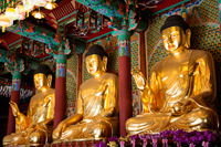 Jogyesa Temple,Daeungjeon or Hall of the Great Hero,Buddha Statues, Seoul, Korea - Travelasia