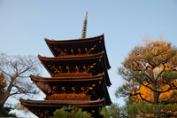 Kennin-ji Zen Temple,Zen Garden and Autumn Leaves. Kyoto, Japan - Travelasia