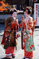 Two Geishas dressed in Kimonos looking at cell phones. - Travelasia