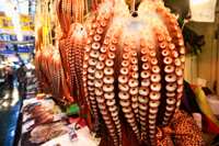 Octopuses at Gyeongju Market, Korea - Travelasia