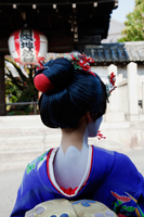 Rear view of Japanese woman wearing Kimono and traditional hair and makup - Travelasia