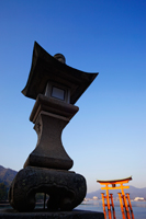 Miyajima Island, Itsukushima Shrine, Torii Gate. Japan - Travelasia