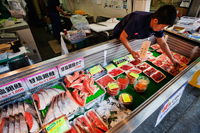 Japan,Tokyo,Tsukiji,Seafood Shop Display - Travelasia