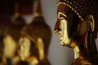 Cropped shot of gold Buddha statue at Wat Pho, Thailand - Alex Mares-Manton