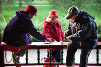 China,Beijing,Temple of Heaven Park,Elderly People Playing Cards - Travelasia