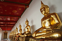 A row of Buddha statues at Wat Pho, Bangkok, Thailand - Travelasia