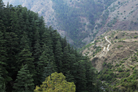 The Himalayan foothills, India - Alex Mares-Manton