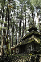 Hindu Temple in the forest of the Himalayan Mountains. India - Alex Mares-Manton