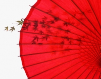 Japan, red umbrella with shadow of maple leaves - Rex Butcher