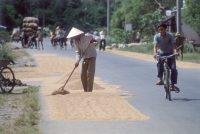 Vietnam, Mekong Delta, woman drying rice along Highway One. - Steve Raymer