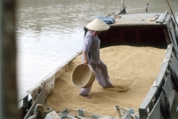 Vietnam, Mekong Delta, woman working on rice boat. - Steve Raymer