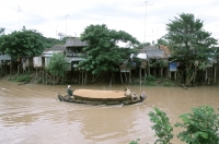 Vietnam, Mekong River, rice boat sailing. - Steve Raymer