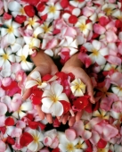 Woman's hands holding flower petals in bathtub, high angle - Jack Hollingsworth