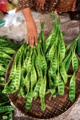 Malaysia, Kuala Terengganu, a pungent green bean called petai used in curries. - Steve Raymer