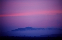 Thailand, Yala, twilight. - Steve Raymer