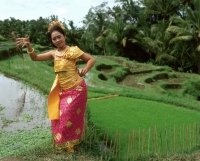 Indonesia, Bali, Balinese dancer in padi fields, trees in background - Jack Hollingsworth