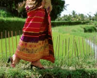 Indonesia, Bali, Balinese dancer walking through fields, lower torso - Jack Hollingsworth