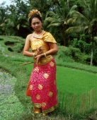 Indonesia, Bali, Balinese dancer in padi fields - Jack Hollingsworth