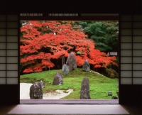 Japan, Kyoto, Komyo-in, sand and stone garden with maple - Rex Butcher