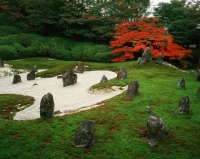 Japan, Kyoto, Komyo-in, sand and stone garden with maple - Rex Butcher