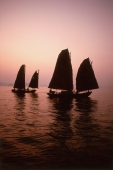 Vietnam, Halong Bay, Fishing junks at dawn - Gareth Jones