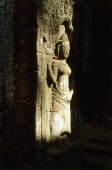 Cambodia, Ta Prohm, Carved reliefs - Gareth Jones