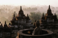 Indonesia, Java, Buddha figure at Borobudur temple, trees in background - Jill Gocher