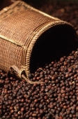 Laos, freshly picked coffee beans - Jill Gocher