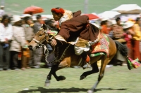 China, Szechuan (Sichuan), Kham region, A Khampa horseman shows off his skills at the summer nomad festival. - Jill Gocher