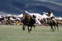 China, Szechuan (Sichuan), Kham region, Khampa horsemen show off their skills at the summer nomad festival. - Jill Gocher