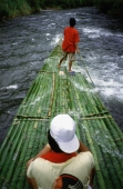 Indonesia, Kalimantan, Loksado, bamboo rafts take bamboo to markets - Jill Gocher