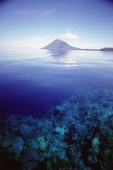 Indonesia, Waters of Manado and Bunaken Island - Jill Gocher