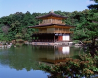 Japan, Kyoto, The Golden Pavilion at Kinkaku-ji Temple. - Stuart Woods