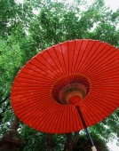 Japan, Red waxed paper umbrella - Rex Butcher
